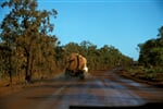 Australie_Queensland_cape_york_uprava_cest