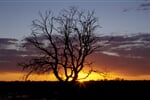 Australie_Queensland_outback_vychod