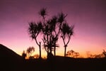 Australie_západ_Granite_Gorge