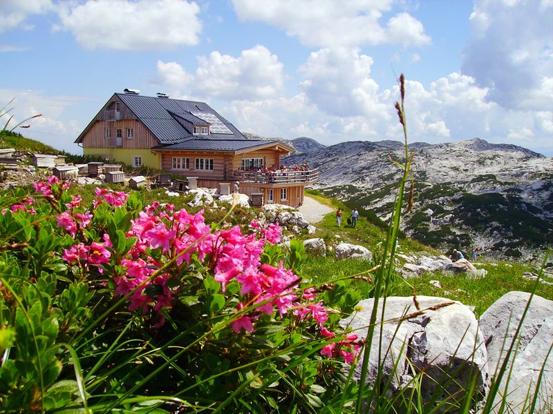 dachstein - salzkammergut - lodge