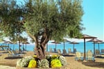 Foto - Gerakina - Gerakina Beach & Village ***+
