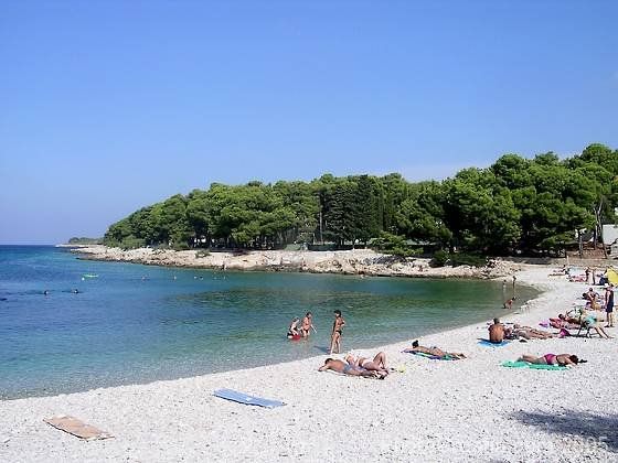 plaz2