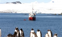 antarctic-dream-11