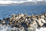 Foto - Velký okruh Argentinou s Patagonií