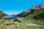 B_PTA_8_A_03_austriaturism