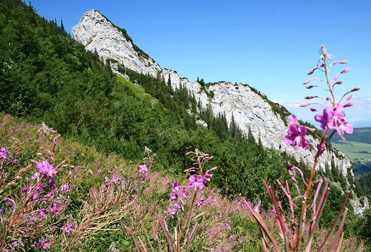 belianske - tatry5 - v