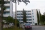njivice-beli_kamik_2-2011-02