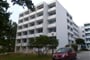 njivice-beli_kamik_2-2011-03
