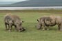 Luxusní Masai Mara Safari s pobytem u oceánu - Severin Sea Lodge 4*