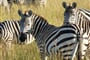 Luxusní Masai Mara Safari s pobytem u oceánu - Mombasa Resort 4*