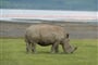 Luxusní Masai Mara Safari s pobytem u oceánu - Southern Palms Beach Resort 4*