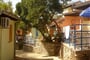 poljana-kemp-2011-01