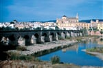 Cordoba