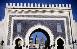 FES 8