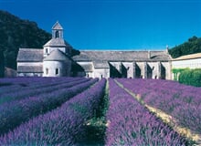 Provence - krlovskou Franci