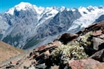 Italie - Passo Stelvio 1