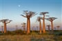 Madagaskar  - ostrov baobabů