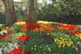 ostrov Mainau - poznávací zájezd