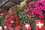 Švýcarsko - poznávací zájezdy