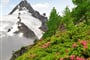 Rakousko - NP Vysoké Taury - Grossglockner