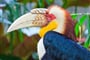 Borneo - poznávací zájezd na Borneo