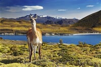 Ekvádor<br>Andy a Amazonie + prodloužení o Galapágy
