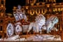 Madrid  - Cibeles