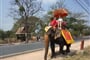 Ayuthaya - projížďka na slonech