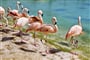 Foto - Španělsko - Španělsko pro seniory - Mar Menor ****