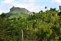 Tropický ráj Baracoa se stolovou horou El Yunque © Foto: Míša Poborská