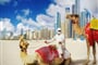 Foto - Dubaj - Arabské Emiráty 55+ 