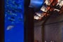 Foto - Emiráty - Dubaj - Jumeirah Beach - Burj Al Arab*****+
