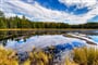Kanada - park Algonquin