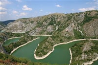 Magické pohoří Zlatibor, království supa bělohlavého