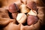Belgické pralinky shutterstock