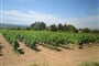 Francie - Provence - v okolí Bonnieux se vyrábí AOC vína Ventoux a Luberon.
