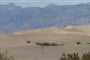 NP Údolí smrti - písečné duny Mesquite Flat
