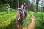 jízda na slonech v NP Khao Sok