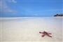 dreamstime_xl_27303224_Zanzibar_pláž