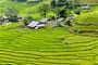 rýžové terasy v oblasti Sapa (Vietnam)