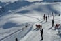 Foto - Alta Valtellina - Bormio - Semogo - Del Cardo ***