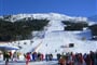 Foto - Alta Valtellina - Bormio - Semogo - Del Cardo ***
