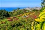 Foto - Madeira 55+ Květinové slavnosti