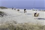 Foto - Sardinie - SENIOR 55+ hotel Horse country resort