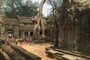 Kambodža - chrám Ta Prohm