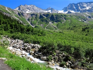 IMG_2610