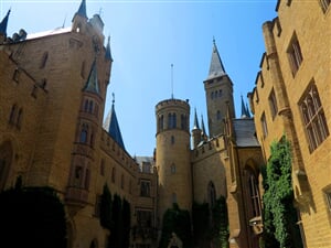 IMG_9137