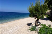 Živogošče - penzion Mala Duba