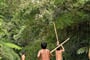 indiáni v Amazonii
