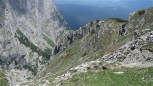 IMG_6859